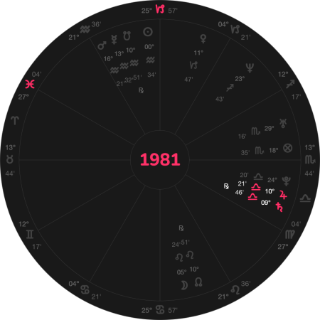 1981 1981